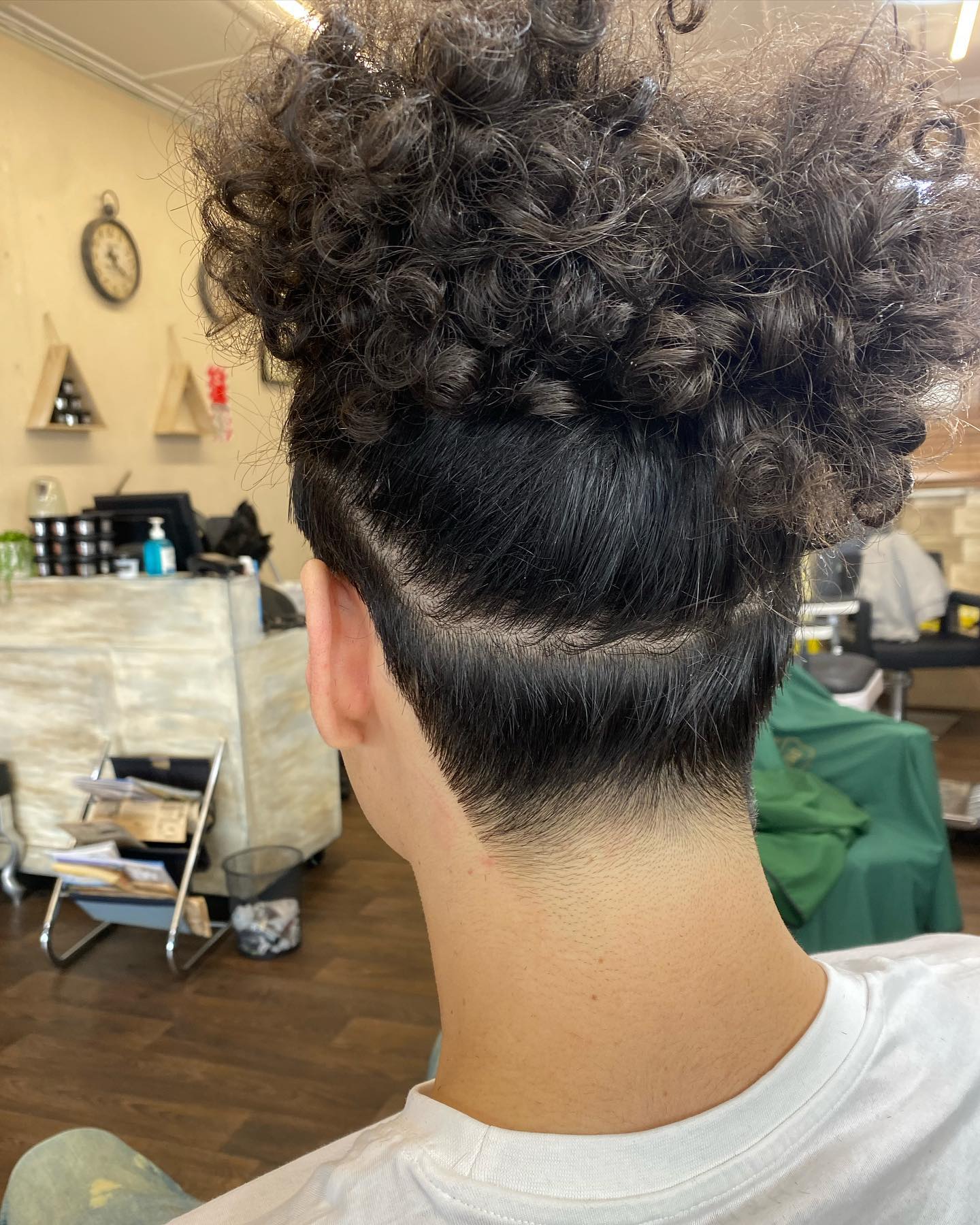 Curly top, back view